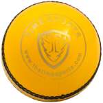 Test Yellow Leather Ball