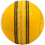Test Yellow Leather Ball - Image 2