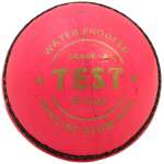 Test Pink Leather Ball