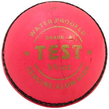 Test Pink Leather Ball