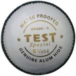 Test Special White Cricket Leather Ball