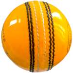 Test Yellow Leather Ball - Image 3
